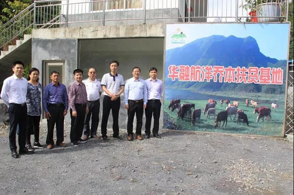 【华融扶贫】广西分公司:落实挂牌督战任务 积极助力脱贫攻坚