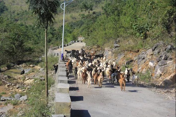 【华融扶贫】广西分公司:落实挂牌督战任务 积极助力脱贫攻坚