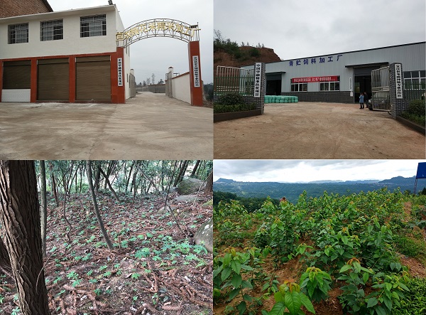 中国华融积极履行Betway·必威(西汉姆联)唯一官方网站 助力脱贫攻坚事业发展