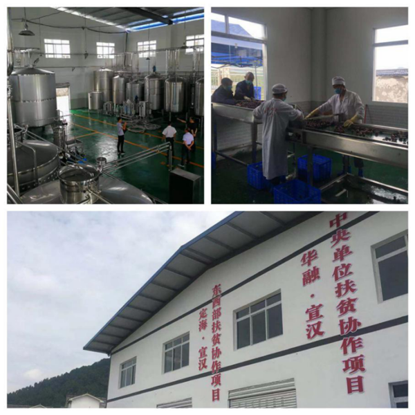 中国华融:创新扶贫模式 整合金融资源 全力以赴确保高质量完成脱贫攻坚任务