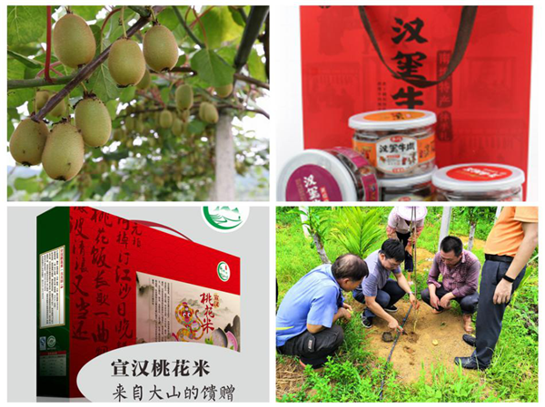 中国华融:创新扶贫模式 整合金融资源 全力以赴确保高质量完成脱贫攻坚任务